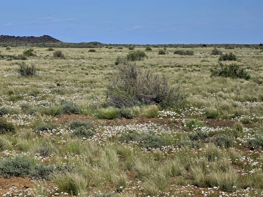 Commercial Property for Sale in Kenhardt Northern Cape